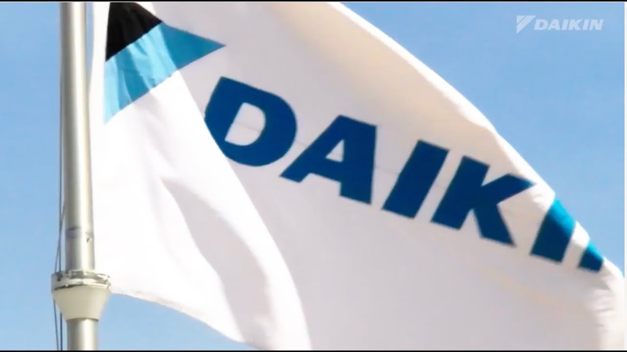 Comfort Meets Innovation